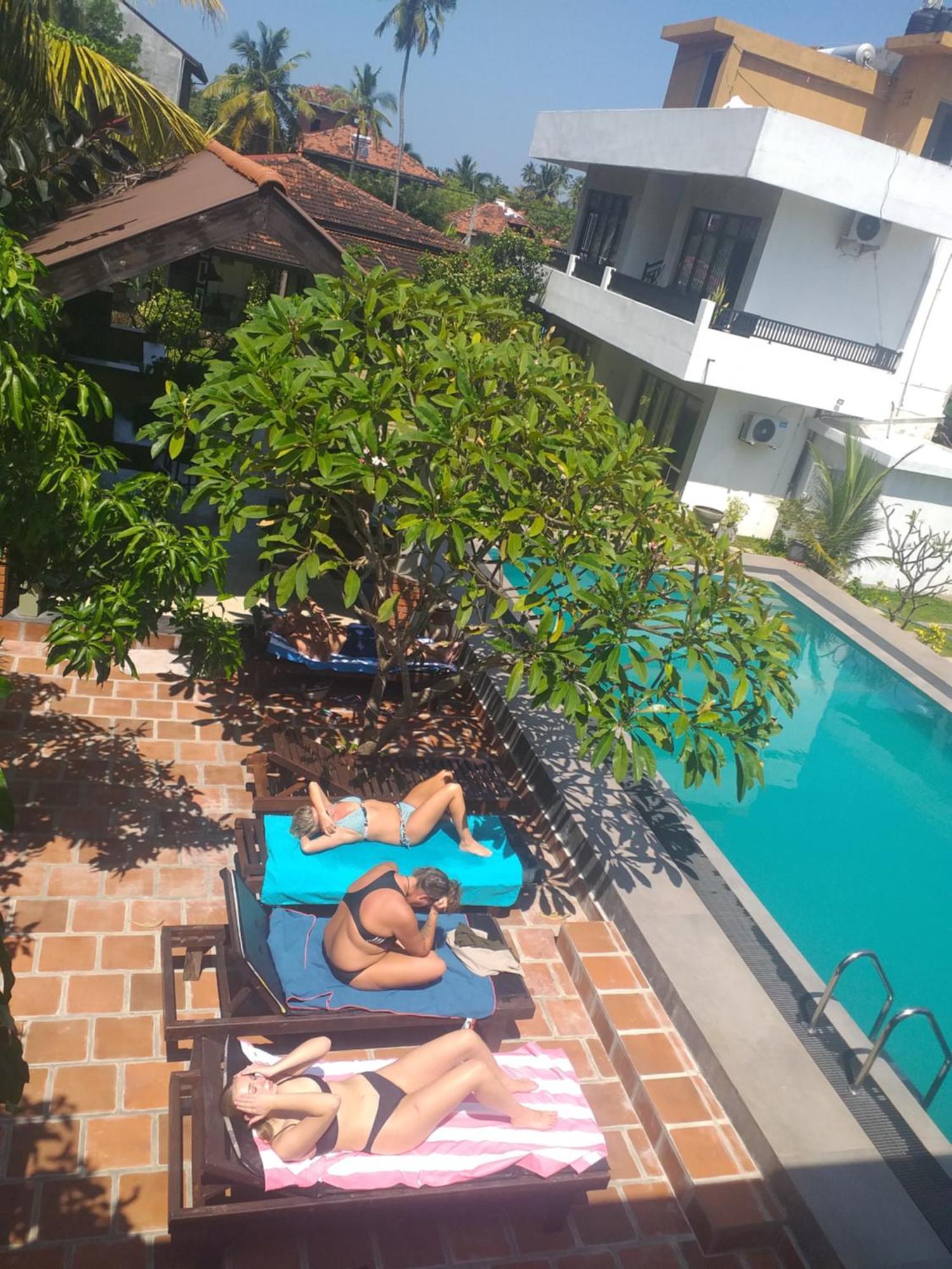 Wood Negombo