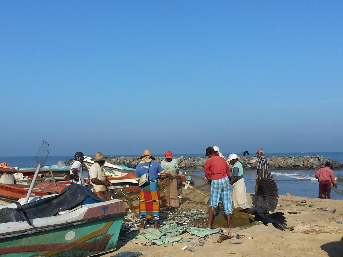 Wood Negombo