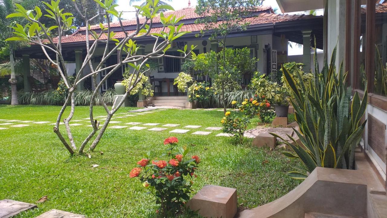 Bed & Breakfast Wood Negombo
